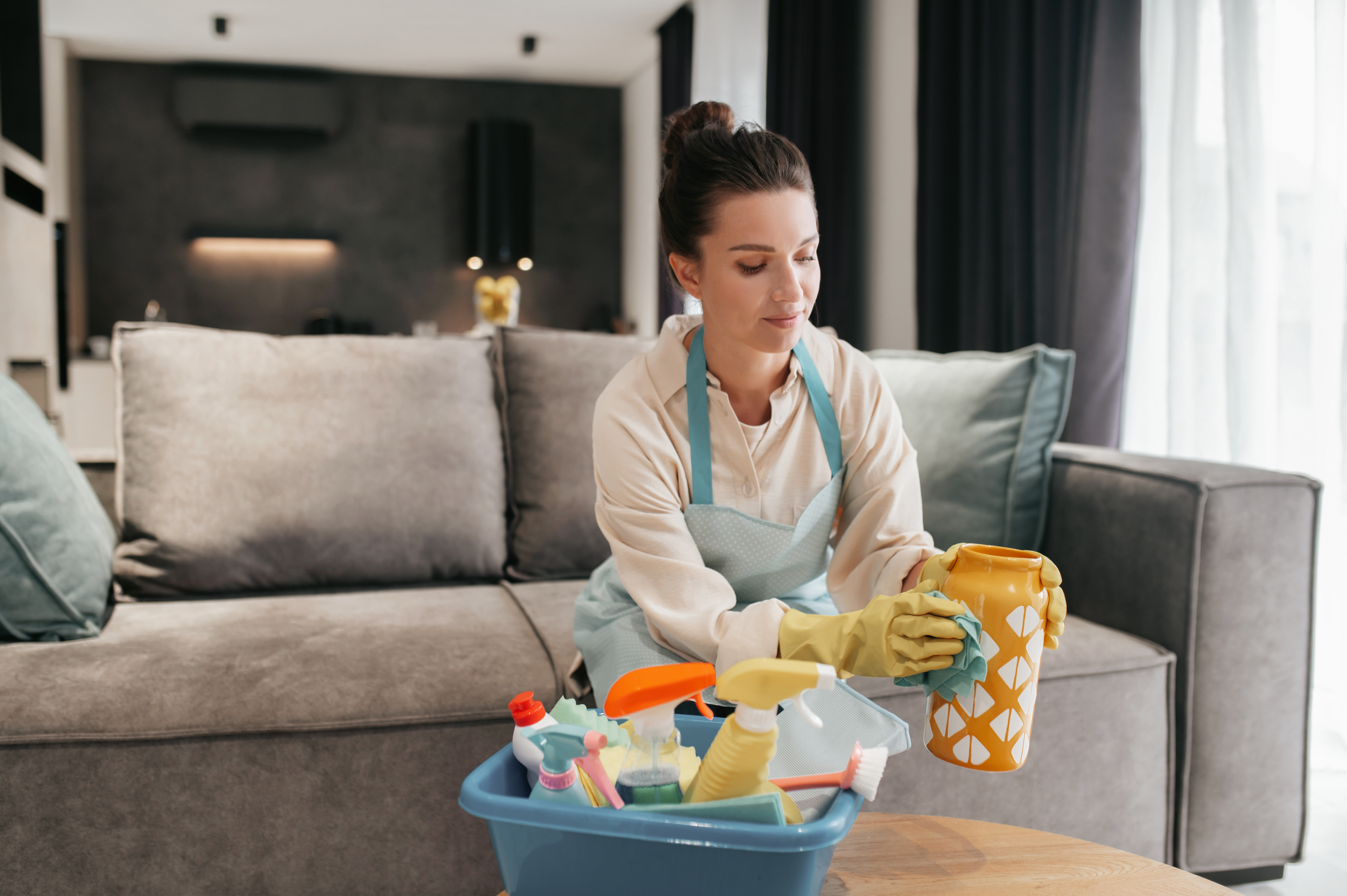 Domestic Cleaning